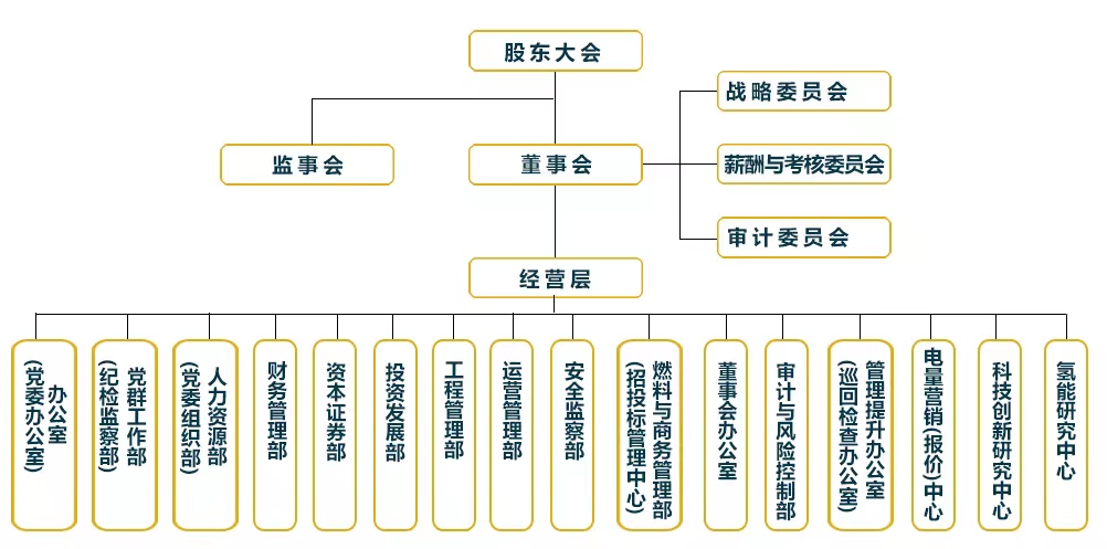 低调看直播